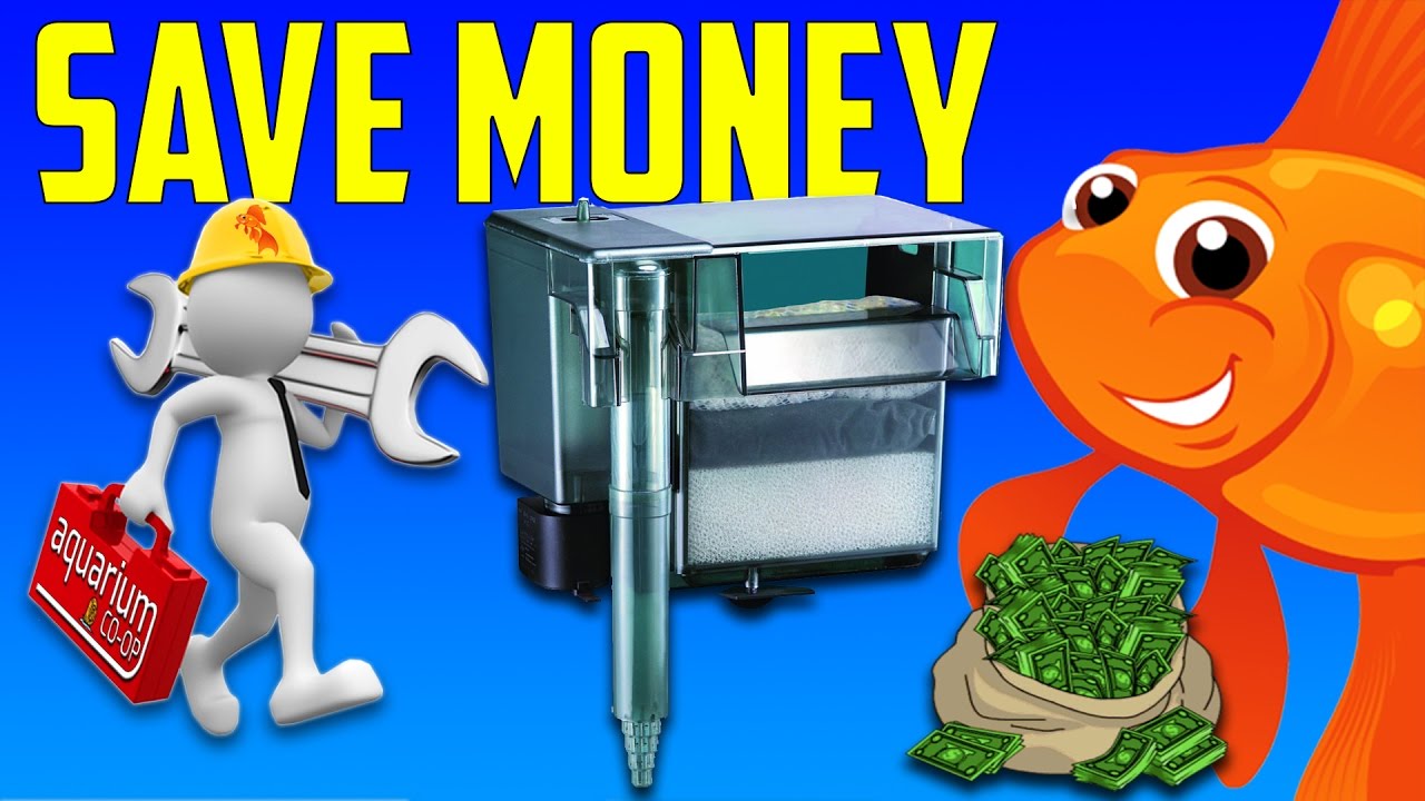 Aquarium Filter Tips and Tricks! Start Saving Money Now! AWWA Water
